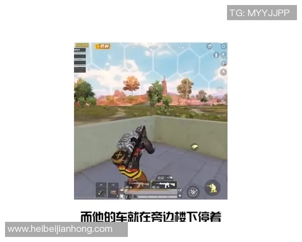 和平精英专题：聚焦WE的战术